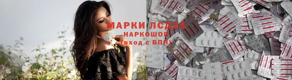 гидропоника Горнозаводск