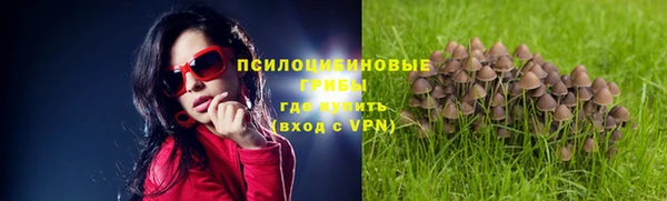 соль курить ск Вяземский