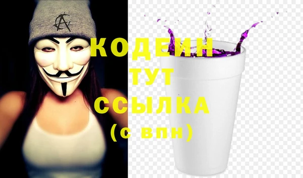 гидропоника Горнозаводск