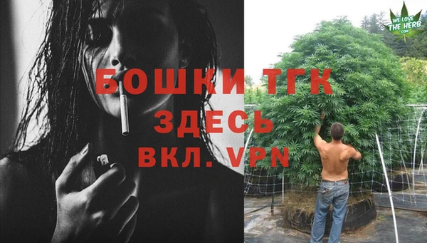 гидропоника Горнозаводск