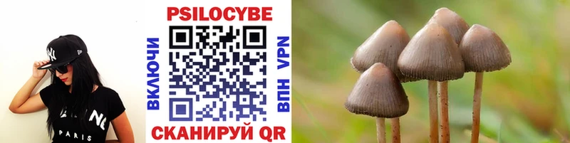 Галлюциногенные грибы Cubensis  Великий Новгород 
